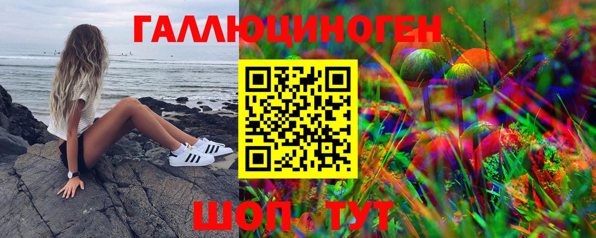 Спасск-Дальний  Псилоцибиновые грибы Cubensis  Вход с VPN 